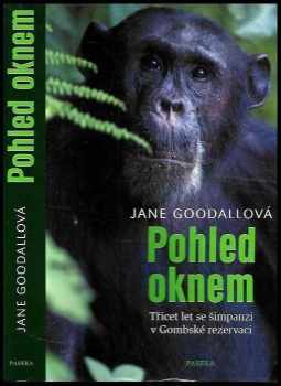 Pohled oknem