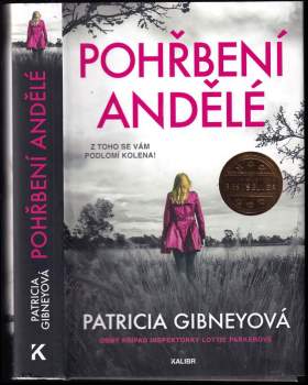 Patricia Gibney: Pohřbení andělé