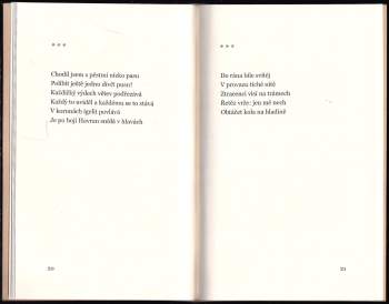 Miroslav Salava: Pohyb pochyb