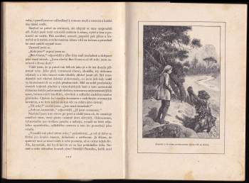 Robert Louis Stevenson: Poklad na ostrově - BEZ OBÁLKY