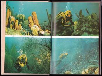 Jacques-Yves Cousteau: Poklad na Stříbrné mělčině