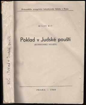 Poklad v Judské poušti
