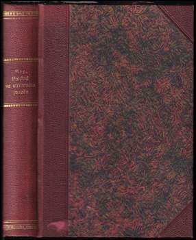 Poklad ve Stříbrném jezeře