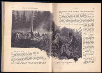 Karl May: Poklad ve Stříbrném jezeře