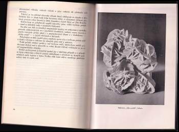 Feofan Dmitrijevič Bublejnikov: Poklady Země