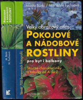 Moritz Bürki: Pokojové a nádobové rostliny pro byt i balkony