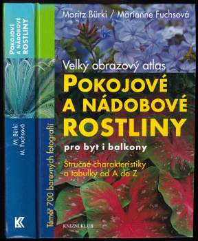 Pokojové a nádobové rostliny pro byt i balkony