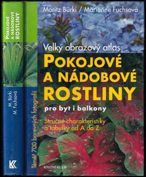 Pokojové a nádobové rostliny pro byt i balkony