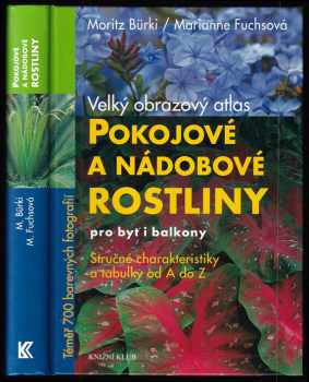 Pokojové a nádobové rostliny pro byt i balkony