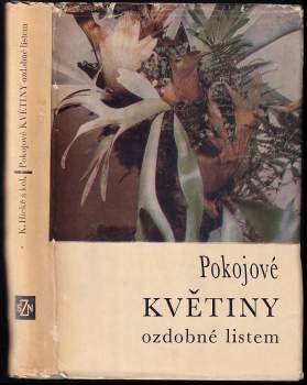 Pokojové květiny ozdobné listem