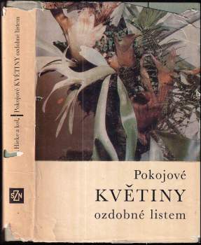 Pokojové květiny ozdobné listem