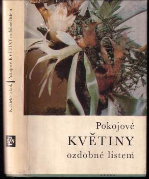 Pokojové květiny ozdobné listem