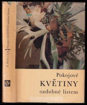 Pokojové květiny ozdobné listem