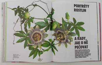 Halina Heitz: Pokojové rostliny