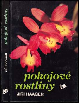 Pokojové rostliny