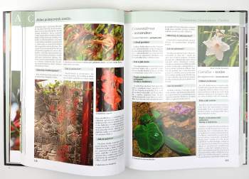 Jiří Haager: Pokojové rostliny