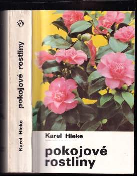Pokojové rostliny