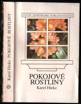 Pokojové rostliny