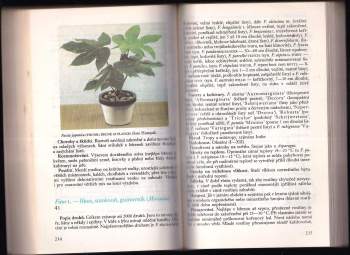 Karel Hieke: Pokojové rostliny