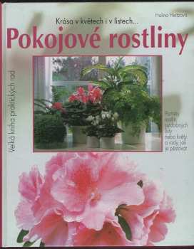 Pokojové rostliny