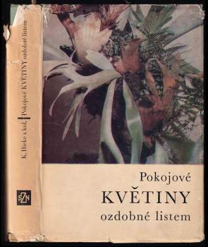 Pokojové rostliny ozdobné listem