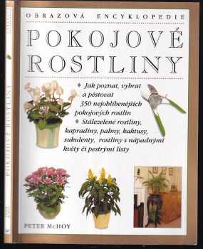 Pokojové rostliny