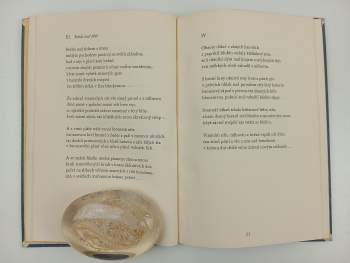 Josef Bouzek: Pokorné vinobraní