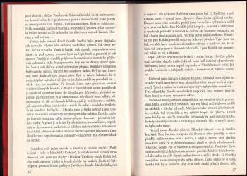 Václav Dušek: Pokus o kus pravdy