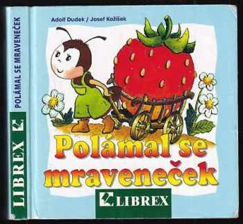 Polámal se mraveneček