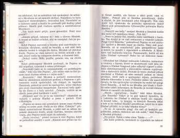 Zdena Frýbová: Polda