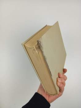 Zdeněk Václav Tobolka: Politické dějiny československého národa od r. 1848 až do dnešní doby