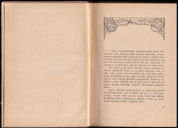 Josef Kubička: Polnice pražského junáka