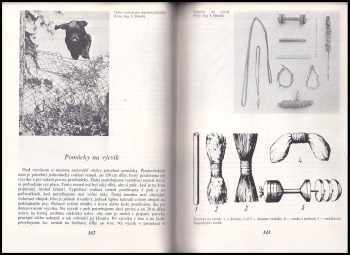 Koloman Slimák: Poľovné psy