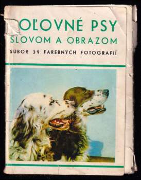 Poľovné psy slovom a obrazom