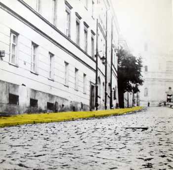 Maryla Rodowicz: Polska Madonna