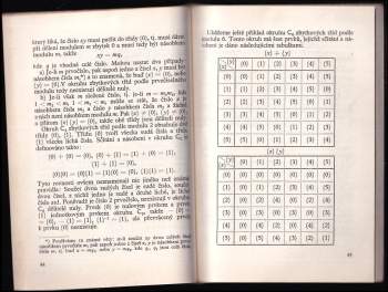 Karel Hruša: Polynomy v moderní algebře