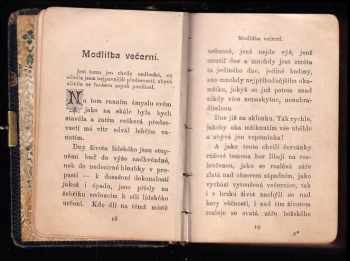 Václav Beneš-Třebízský: Pomněnky ve vínek nebeský