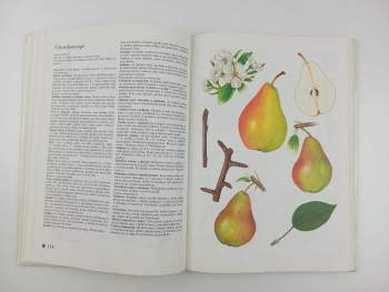 Josef Kutina: Pomologický atlas