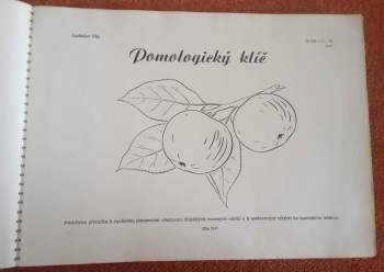 Vladislav Vlk: Pomologický klíč