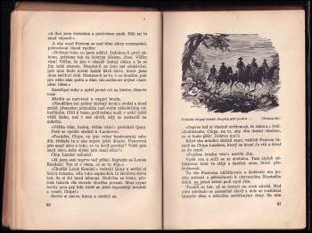 Max Brand: Ponurý ranč