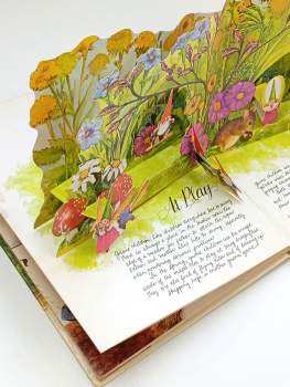 Pop-Up Book of Gnomes