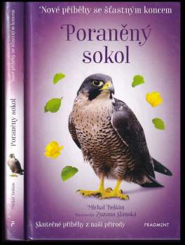 Poraněný sokol