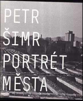 Luděk Lukuvka: Portrét města