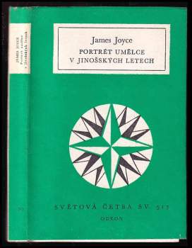 Portrét umělce v jinošských letech