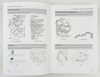 Kateřina Thorová: Poruchy autistického spektra