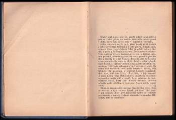 Bernhard Kellermann: Pošetilec