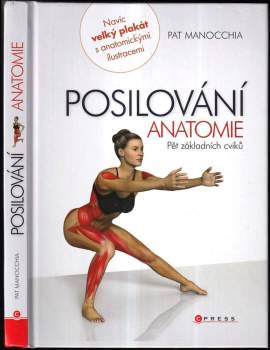 Posilování - anatomie : pět základních cviků