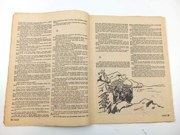 E. Curwill: Poslední jízda - Rozruch 99