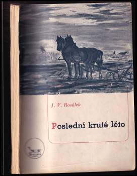 Poslední kruté léto