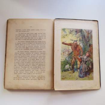 James Fenimore Cooper: Poslední Mohykán